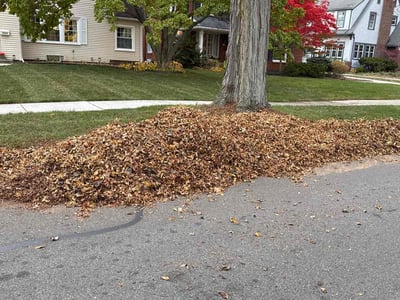 Leaf Removal service in Elkhart, 46516