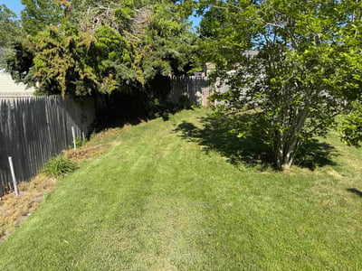 Lawn Care service in Absecon, 08201