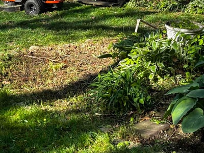 Leaf Removal service in Elkhart, 46516
