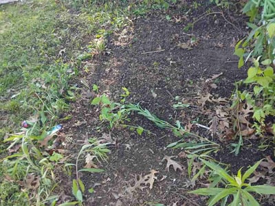 Lawn Care service in Absecon, 08201