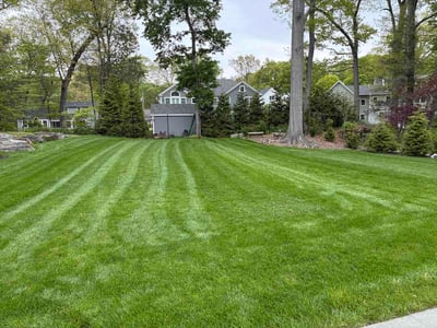 Lawn Care service in Shelton, 06484