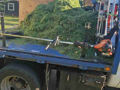 Leaf Removal service in Elkhart, 46516