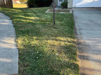 Leaf Removal service in Elkhart, 46516