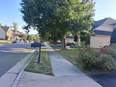 Lawn Care service in Burke, 22015