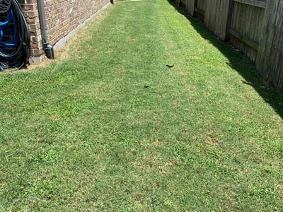 Lawn Care service in Shelton, 06484