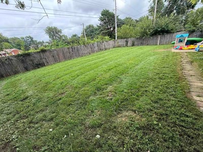 Lawn Care service in Absecon, 08201