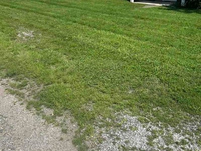 Lawn Care service in Absecon, 08201
