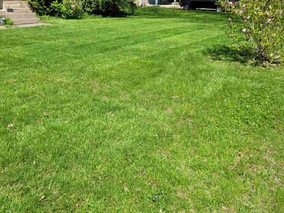 Lawn Care service in Absecon, 08201