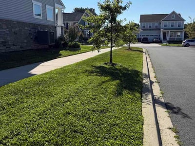 Lawn Care service in Claymont, 19703
