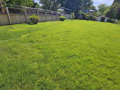 Lawn Care service in Boise, 83702