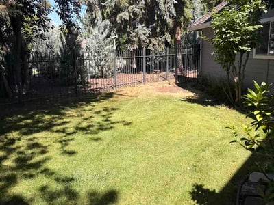 Lawn Care service in Boise, 83702