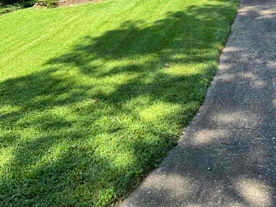 Lawn Care service in Norwalk, 06851