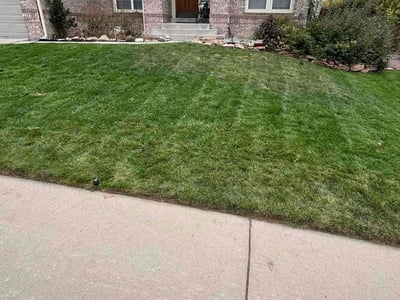 Lawn Care service in Port Orchard, 98366