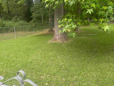 Lawn Care service in Athens, 30601