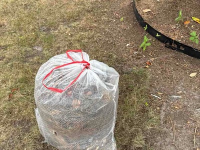 Leaf Removal service in Chesapeake, 23320