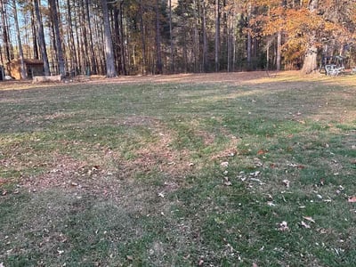 Leaf Removal service in Chesapeake, 23320