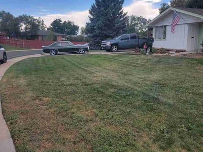 Lawn Care service in Westminster, 80030