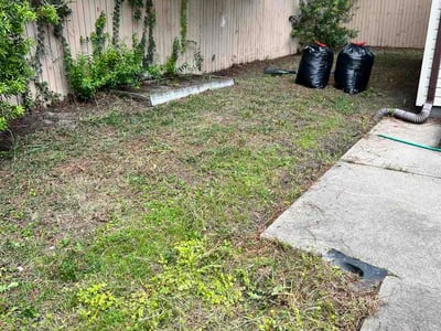 Leaf Removal service in Chesapeake, 23320