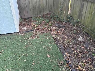 Leaf Removal service in Chesapeake, 23320