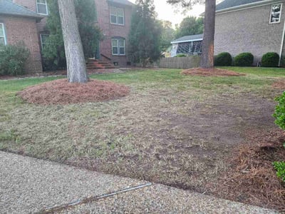 Leaf Removal service in Chesapeake, 23320
