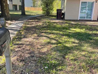 Leaf Removal service in Chesapeake, 23320