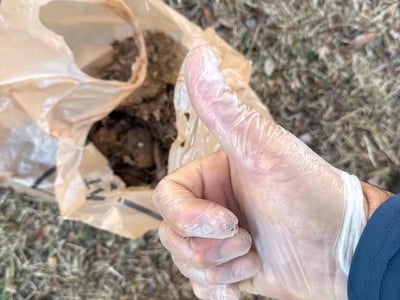 Leaf Removal service in Chesapeake, 23320