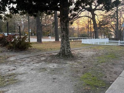 Leaf Removal service in Chesapeake, 23320