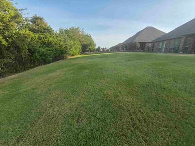 Lawn Care service in Glenn Heights, 75154