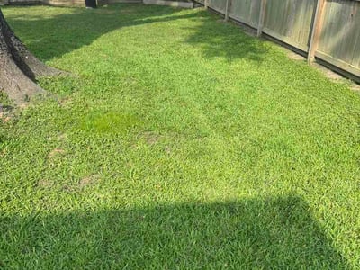 Lawn Care service in Glenn Heights, 75154