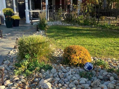 Leaf Removal service in Brighton, 80601
