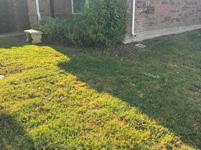Lawn Care service in Roanoke, 76262