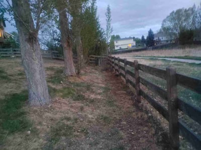 Leaf Removal service in Brighton, 80601