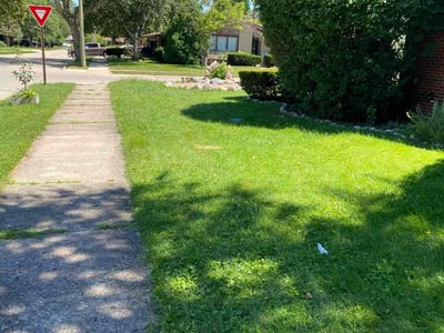 Lawn Care service in Oak Park, 48237