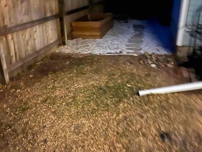 Leaf Removal service in Brighton, 80601