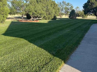 Lawn Care service in Amarillo, 79107