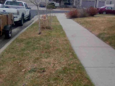 Leaf Removal service in Brighton, 80601