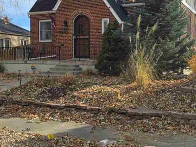 Leaf Removal service in Brighton, 80601