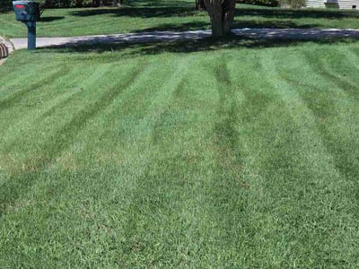 Lawn Care service in College Park, 20742