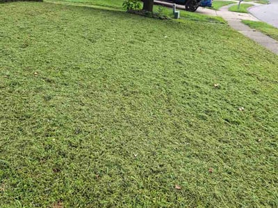 Lawn Care service in Egg Harbor Township, 08234