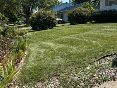 Lawn Care service in Kaukauna, 54130
