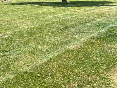 Lawn Care service in Wellington, 44090