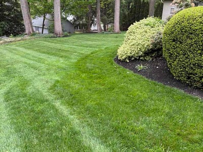 Lawn Care service in Middletown, 17057