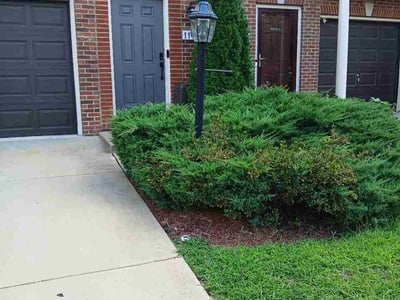 Lawn Care service in Waldorf, 20603