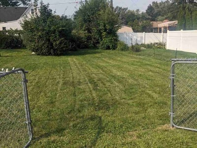 Lawn Care service in Ypsilanti, 48197