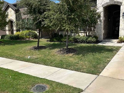 Lawn Care service in Farmers Branch, 75234