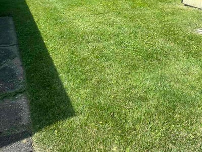Lawn Care service in Germantown, 20874