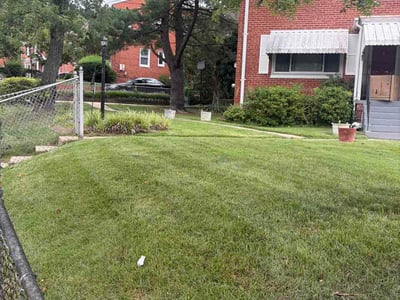 Lawn Care service in Temple Hills, 20748