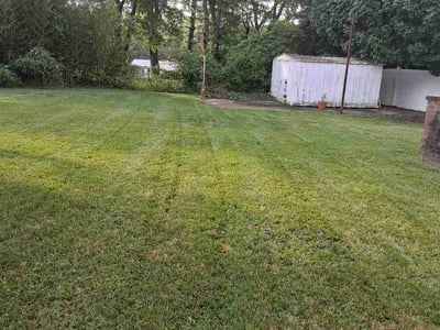 Lawn Care service in Temple Hills, 20748