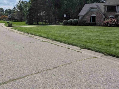Lawn Care service in Madison Heights, 48071