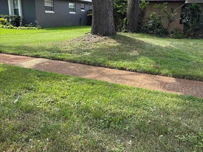 Lawn Care service in Webster, 01570
